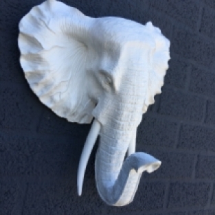 Beautiful white elephant head wall ornament, beautiful!!